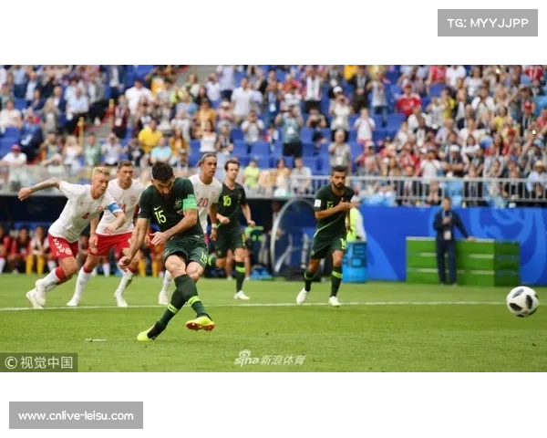 橄榄球世界杯2027年澳大利亚主办 场馆升级改造计划正式启动