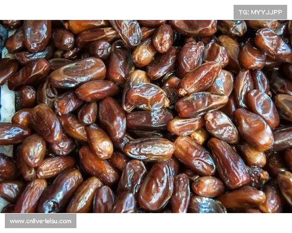 卡塔尔大学研究发现椰枣提取物能显著提升球员耐力恢复效果